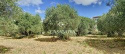 vente Villa Gignac