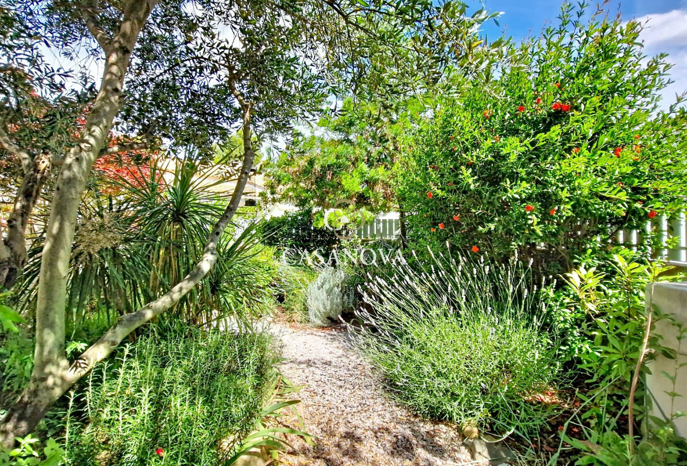 vente Maison Pezenas - Photo 7