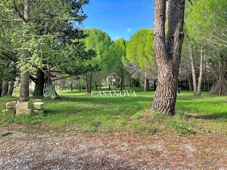 vente Ensemble immobilier Bedarieux - Photo 2