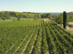 sale Maison vigneronne Clermont L'herault