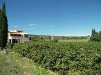 sale Maison vigneronne Clermont L'herault
