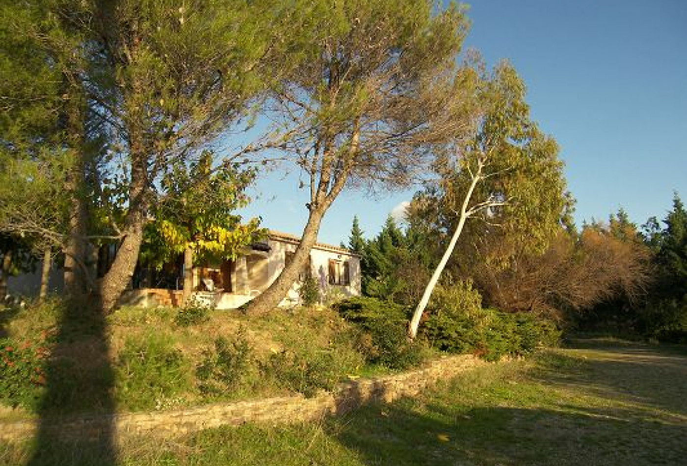 vente Villa Le Bosc - Photo 6