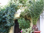 vente Maison de village Paulhan