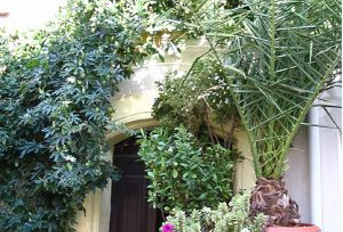 vente Maison de village Paulhan - Photo 3