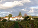 vente Proprit viticole Bergerac
