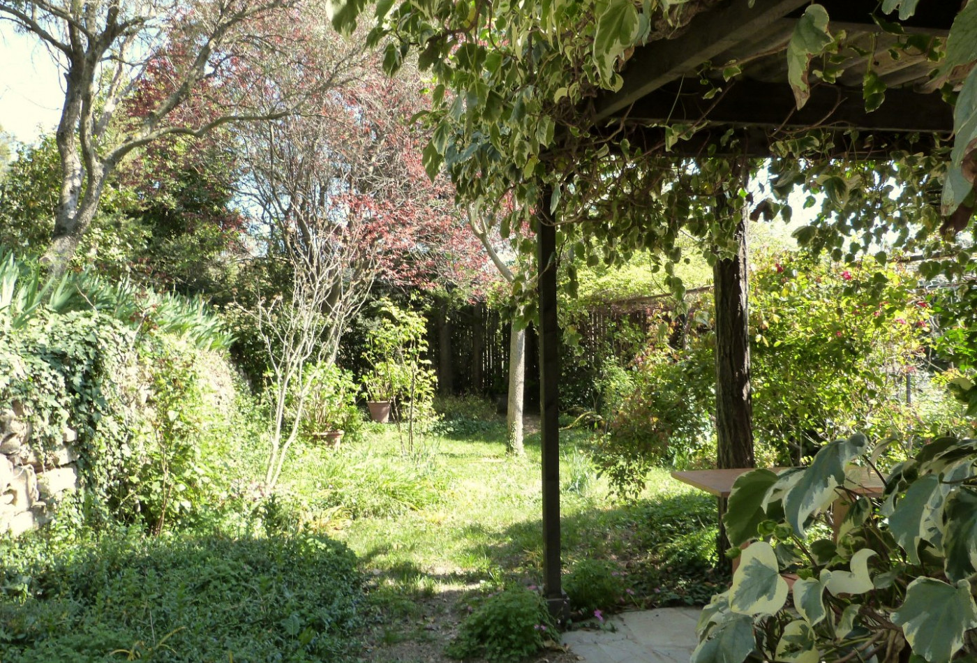 vente Maison Clermont L'herault - Photo 2