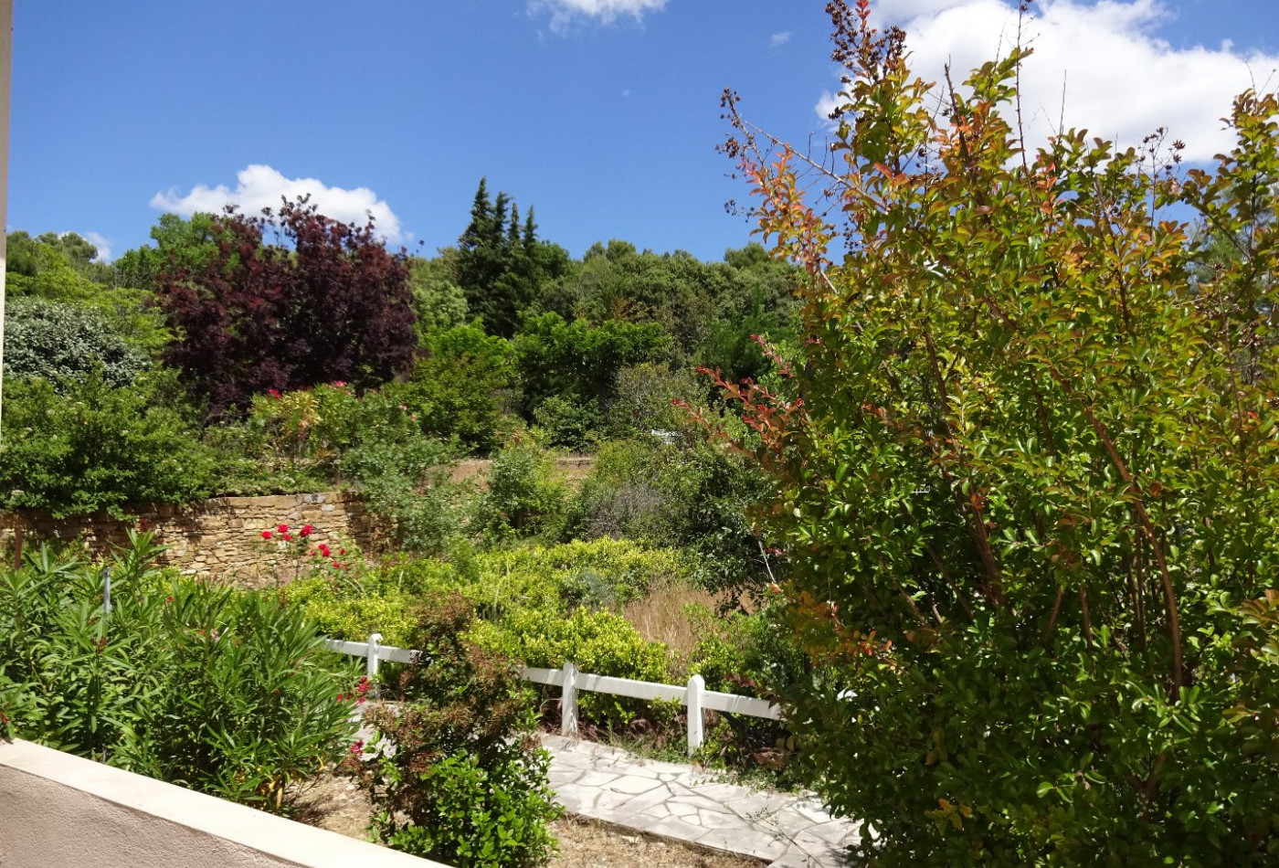 vente Villa d'architecte Gignac - Photo 4