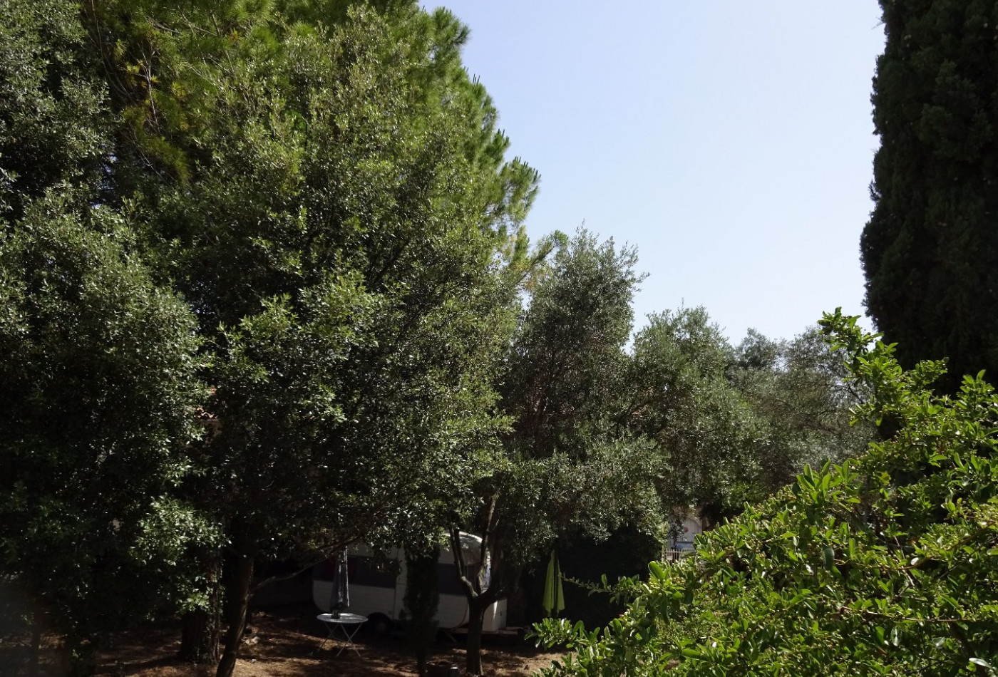 vente Maison Clermont L'herault - Photo 4