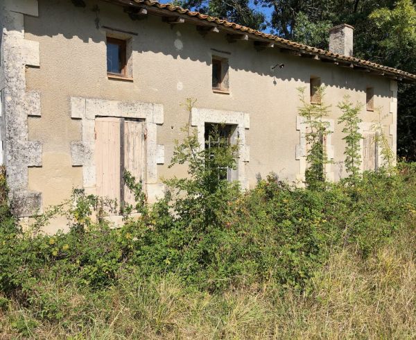 A vendre Libourne 340137466 Agence galerie casanova
