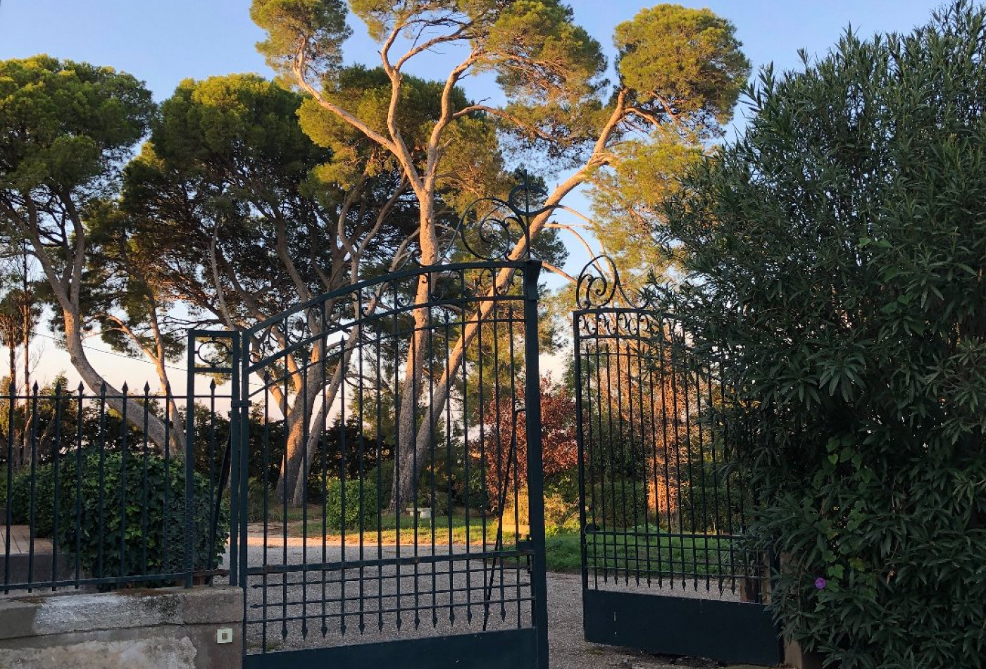 vente Propriété viticole Agde - Photo 16