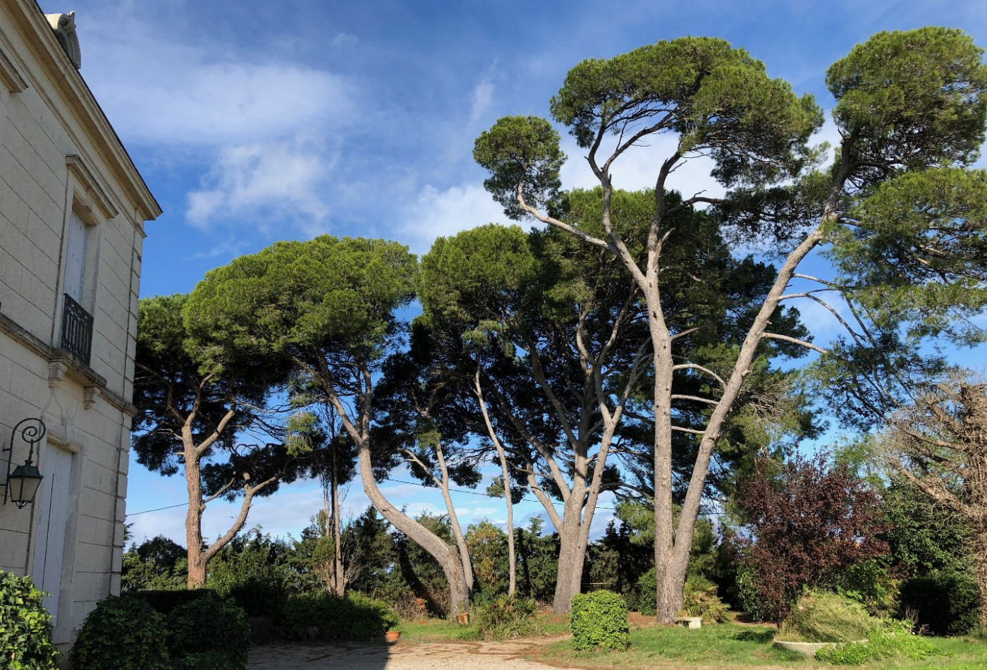 vente Propriété viticole Agde - Photo 3