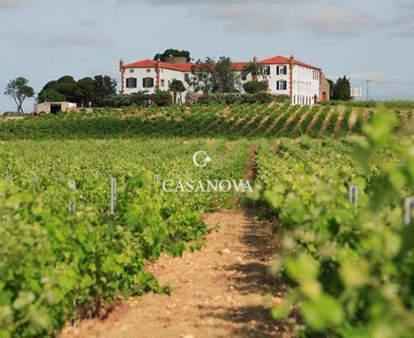 A vendre Perpignan | Réf 340138086 - Agence galerie casanova