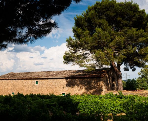 A vendre Lezignan Corbieres | Réf 340138107 - Agence galerie casanova