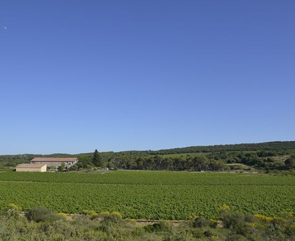 A vendre Montpellier | Réf 340138249 - Agence galerie casanova