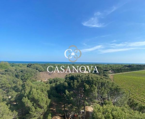 A vendre Beziers | Réf 340138544 - Agence galerie casanova