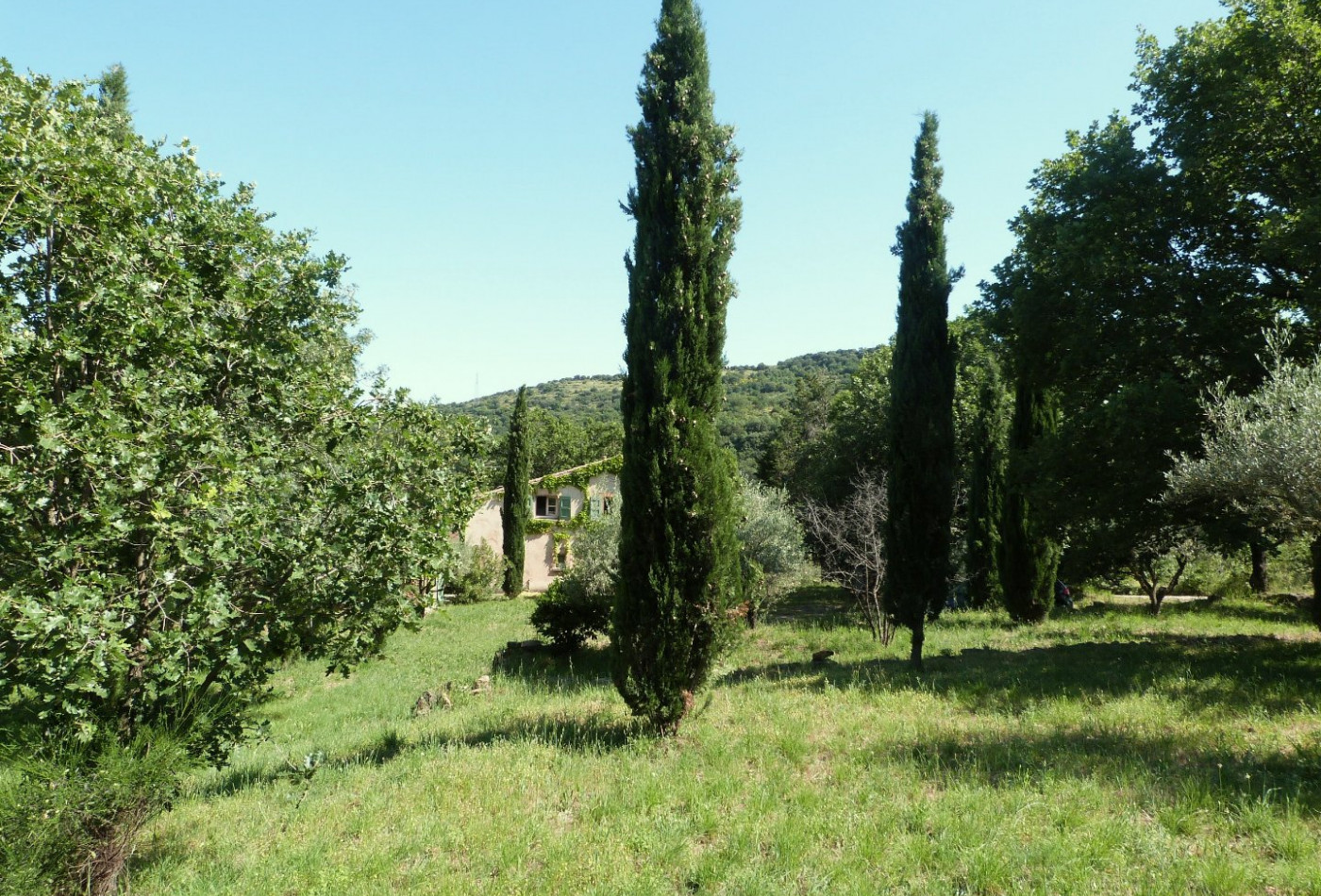 vente Mas Montpellier - Photo 7