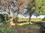 vente Maison Clermont L'herault