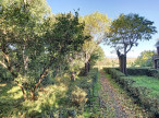 vente Maison Clermont L'herault