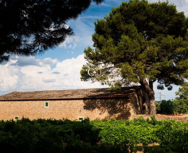 A vendre Lezignan Corbieres | Réf 340139409 - Agence galerie casanova