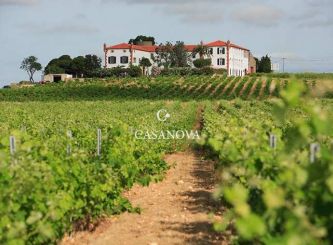 vente Proprit viticole Perpignan