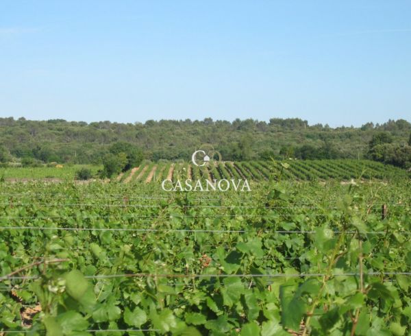 vente Uzes