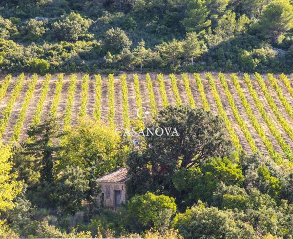 vente Saint Chinian