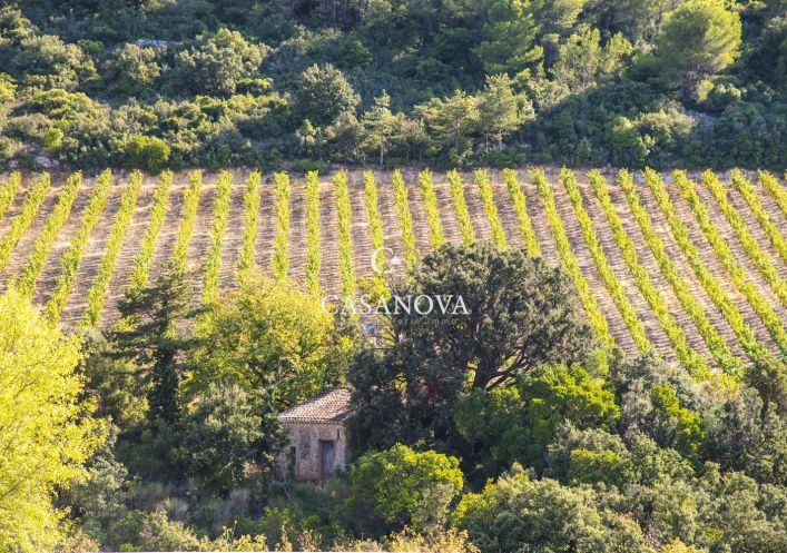 A vendre Propriété viticole Saint Chinian | Réf 340139420 - Agence galerie casanova