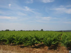 vente Propriété viticole Villespassans