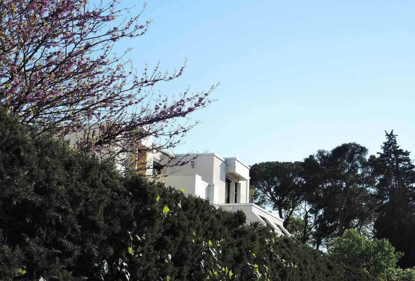 location Appartement Montpellier - Photo 10