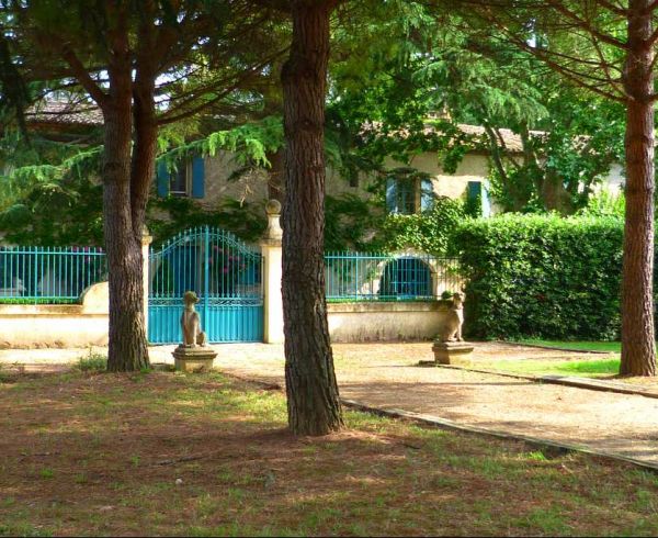 A vendre Montpellier 340135615 Agence galerie casanova