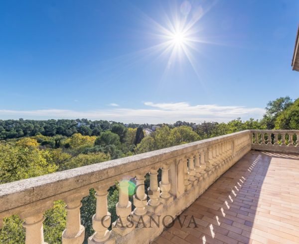 vente Montpellier