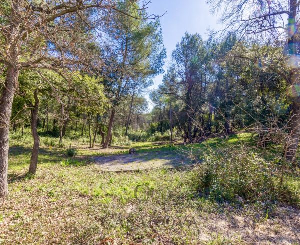 vente Montpellier
