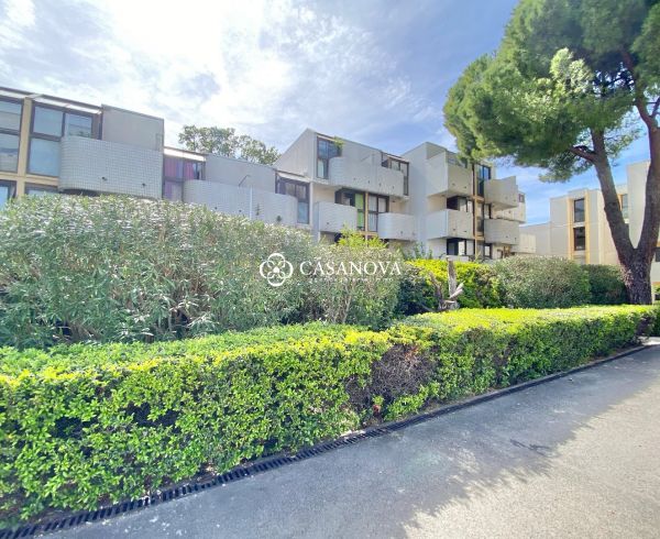 sale Montpellier