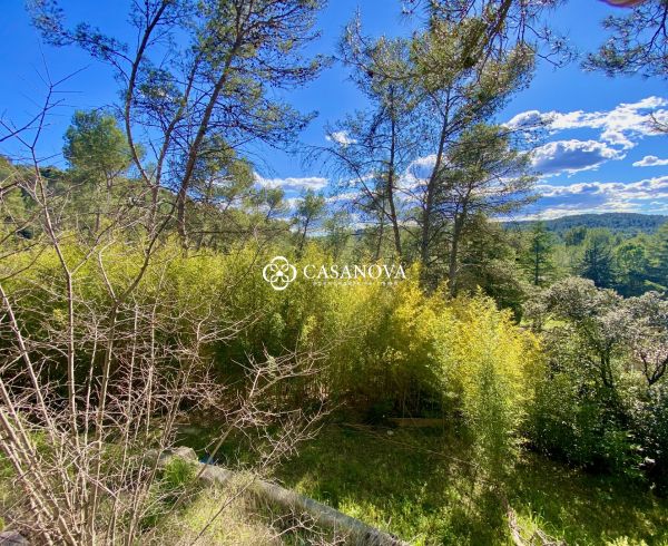 sale Saint Clement De Riviere