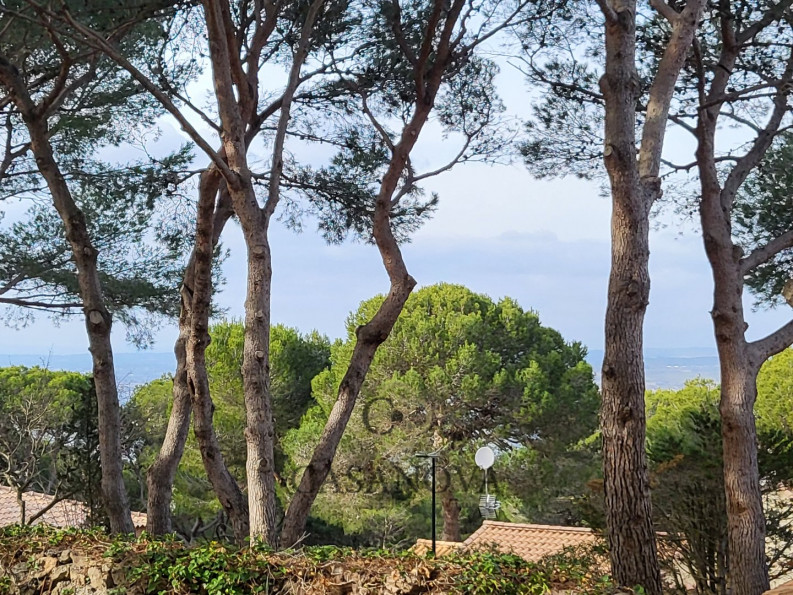 vente Terrain Sete - Photo 1