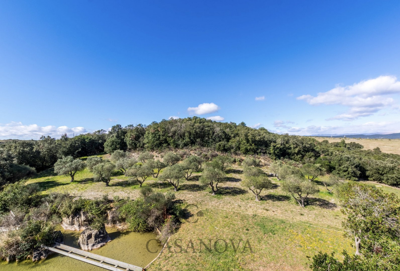 vente Maison Montpellier - Photo 16