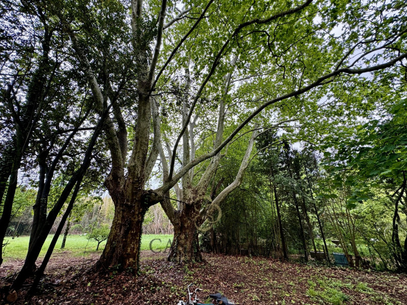 vente Maison Castelnau Le Lez - Photo 7