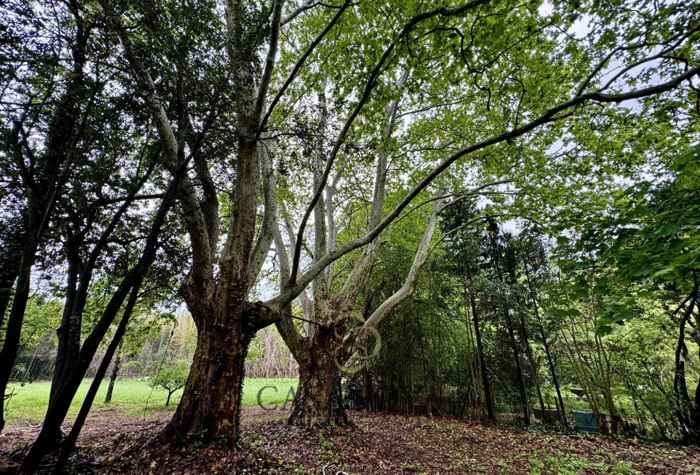 sale Maison Castelnau Le Lez - Photo 7