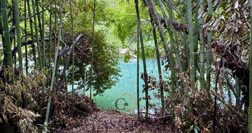 vente Maison Castelnau Le Lez