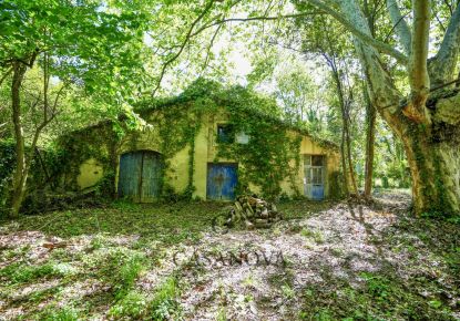 vente Maison Castelnau Le Lez