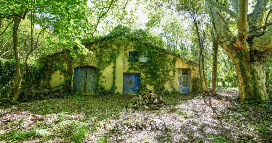 vente Maison Castelnau Le Lez