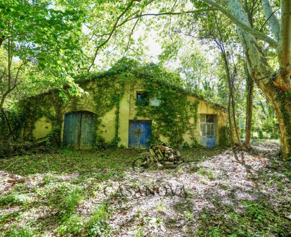 vente  Castelnau Le Lez