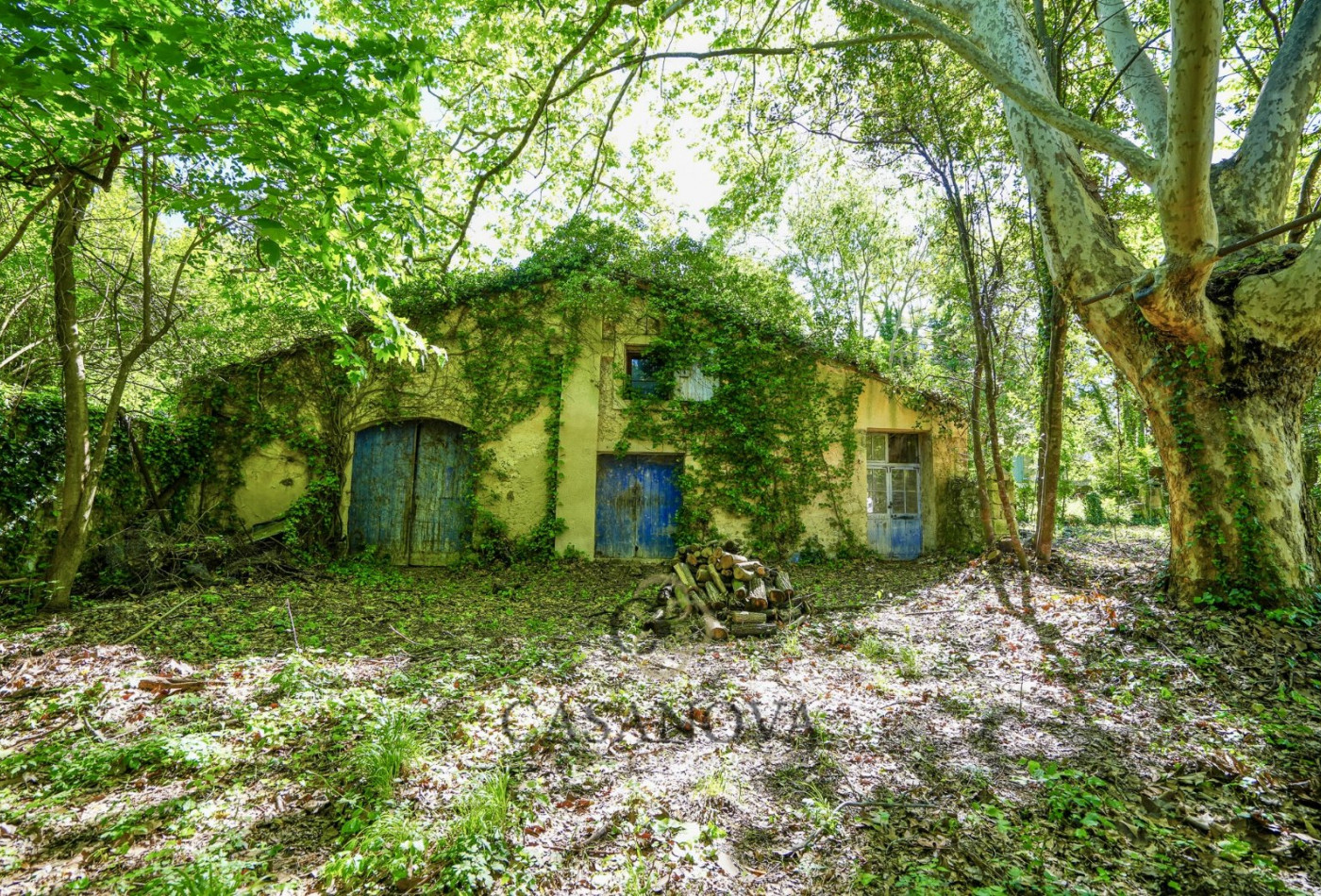 sale Maison Castelnau Le Lez - Photo 1