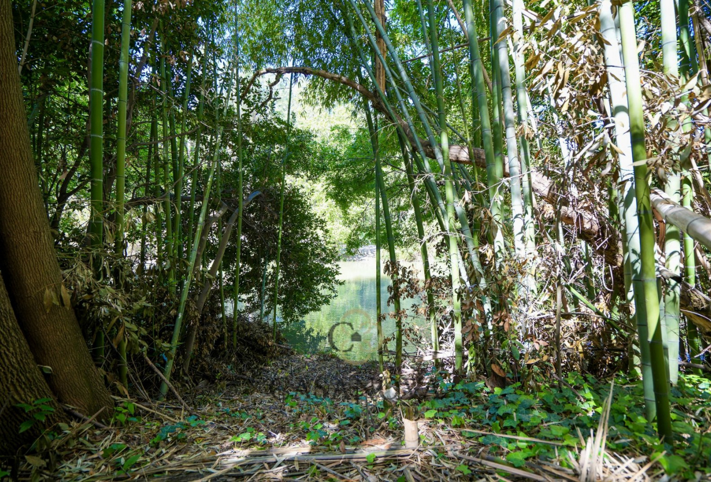 sale Maison Castelnau Le Lez - Photo 5