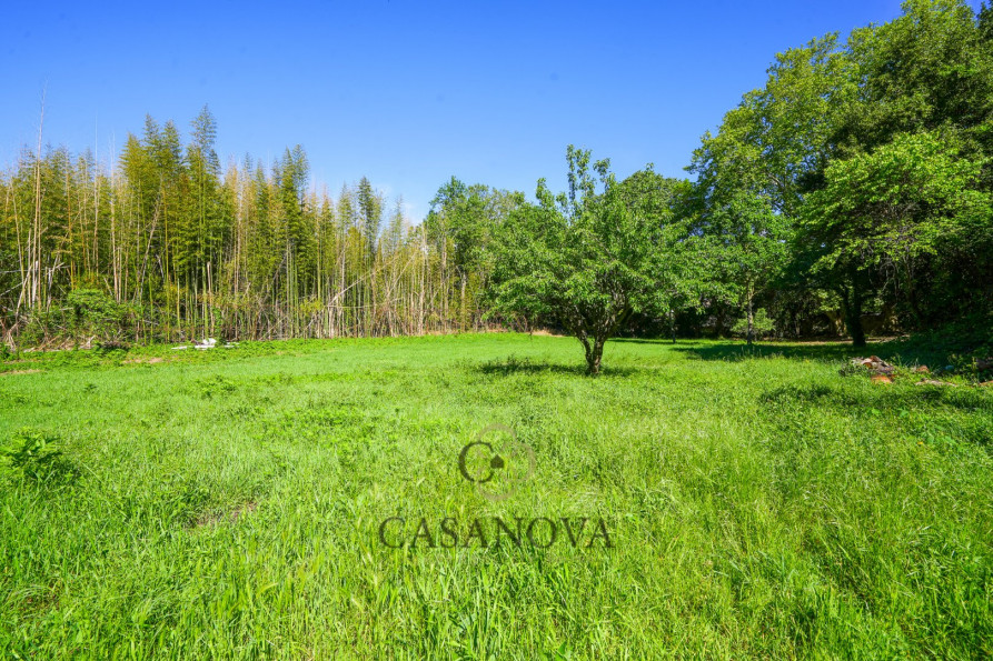 vente Maison Castelnau Le Lez - Photo 4