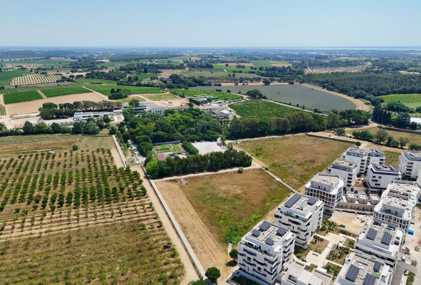 sale Appartement Castelnau Le Lez - Photo 16