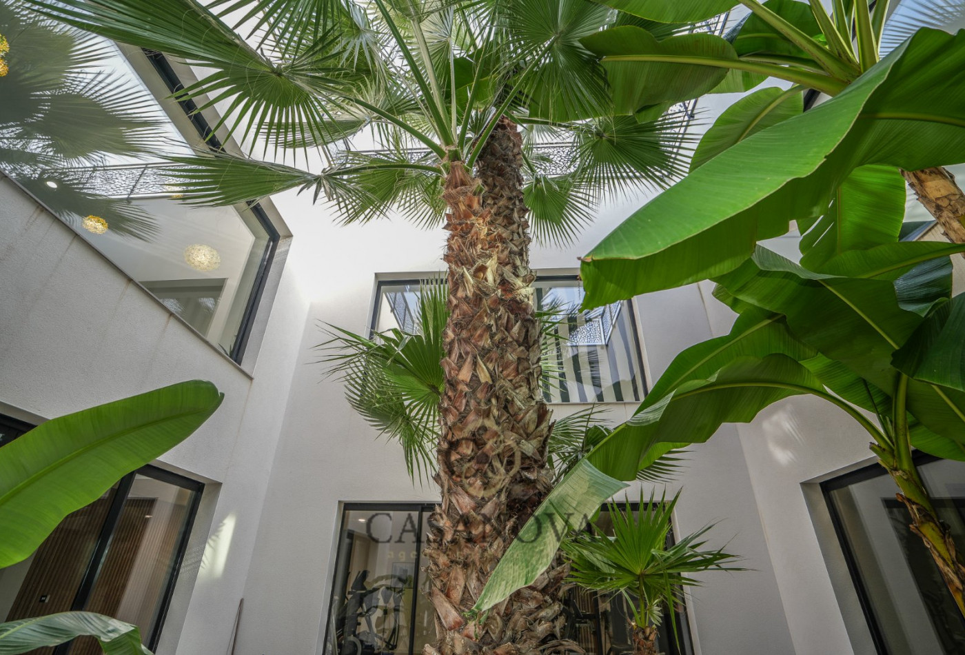 vente Villa d'architecte Saint Gely Du Fesc - Photo 16