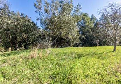 vente Terrain Montpellier