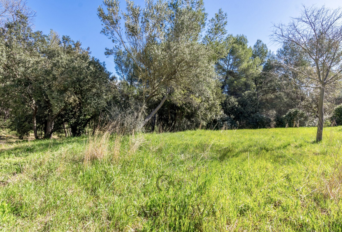 vente Terrain Montpellier - Photo 1