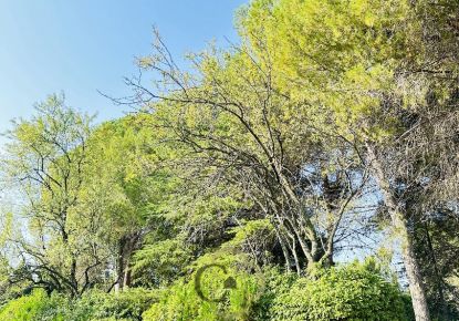 vente Terrain Saint Jean De Vedas